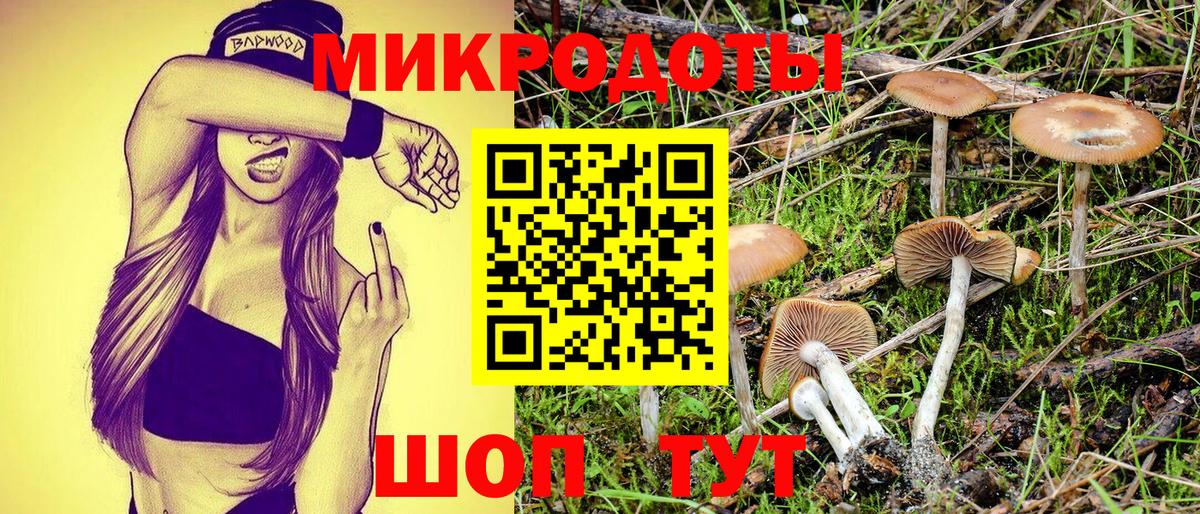 Псилоцибиновые грибы ЛСД Печора